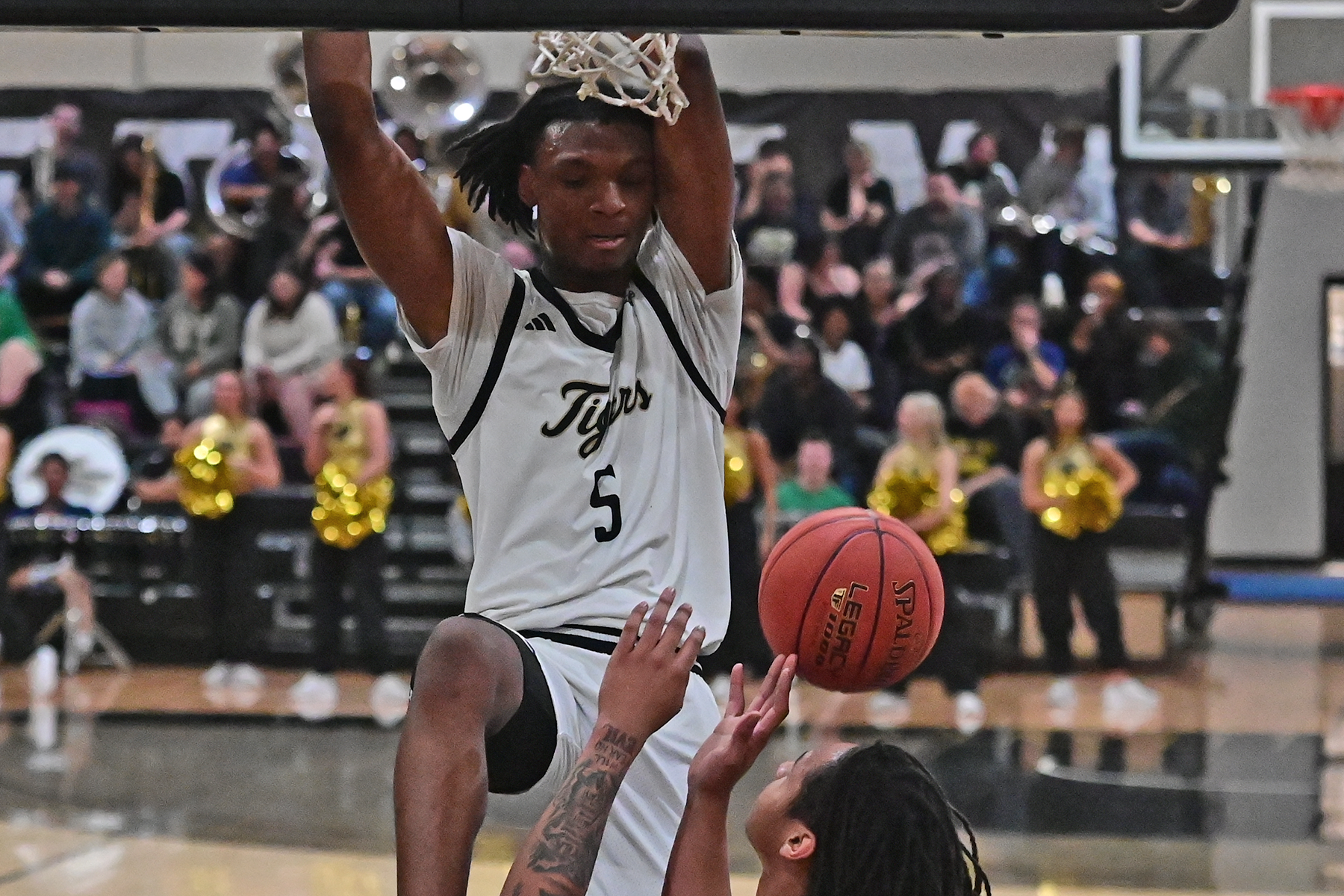 Tigers Outlast Lions in Regular Season Finale