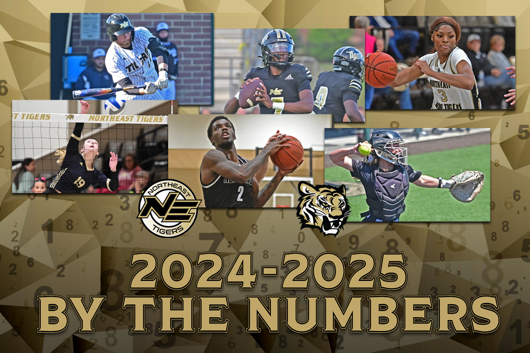 A look back at the 2024-25 athletic season at Northeast Mississippi Community College by the numbers.